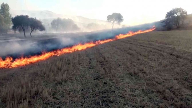 Anız Ateşi Ürün Kalitesi Ve Verimini Düşürüyor