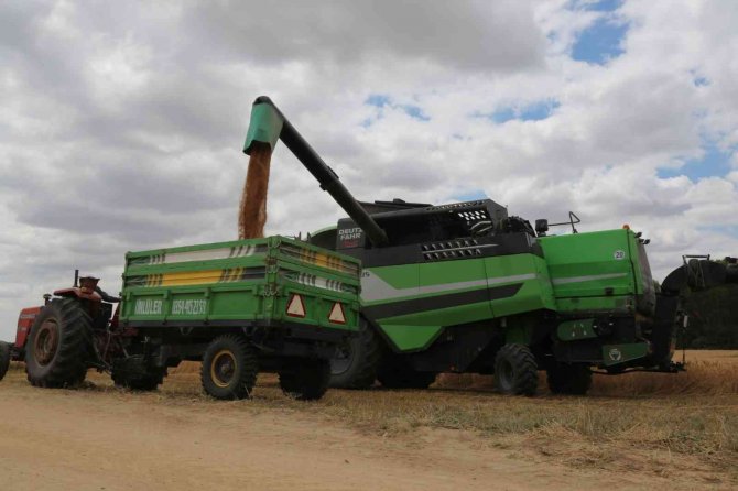 Tmo’da Buğday Ve Arpa Alım Taban Fiyatları Belirlendi
