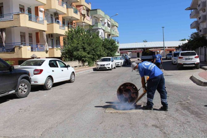 Sinek Ve Haşereyle Mücadele Sürüyor