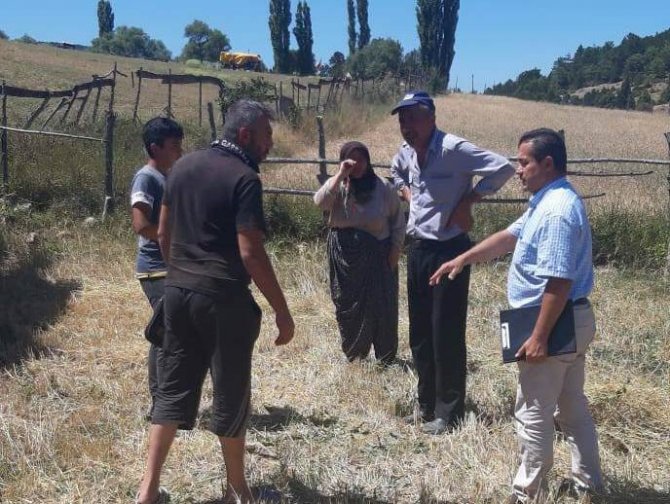 Aslanapa’da Nohut Bitkisinde Hastalık, Zararlı Ve Fenolojik Dönem Takibi