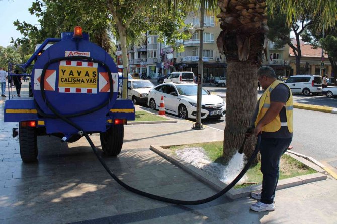 Efeler’de Sıcak Hava Bunalttı, Vatandaşlar Gölgelere Akın Etti