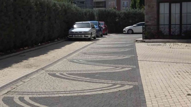 Ezdiği Köpeğe Aldırış Etmeden Aracını Park Edip Gitti