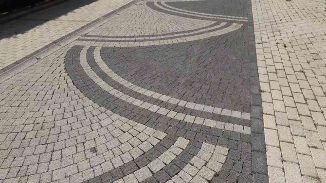 Ezdiği Köpeğe Aldırış Etmeden Aracını Park Edip Gitti