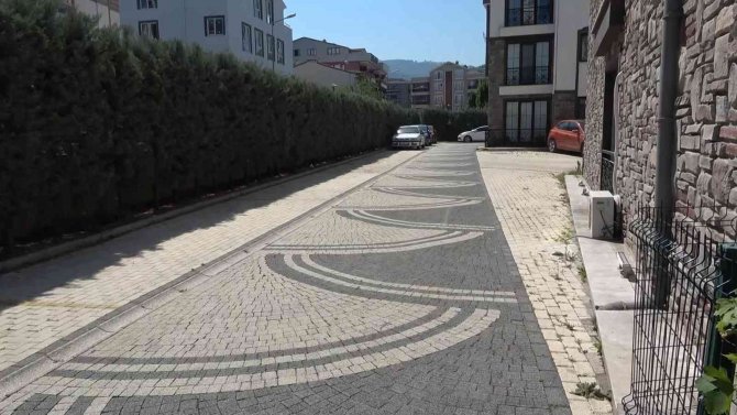 Ezdiği Köpeğe Aldırış Etmeden Aracını Park Edip Gitti