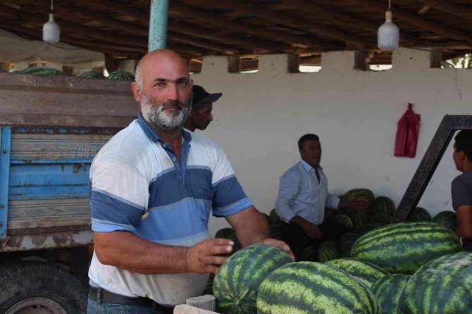 Doğunun Çukurova’sından Çevre İllere Sebze Ve Meyve Satışı