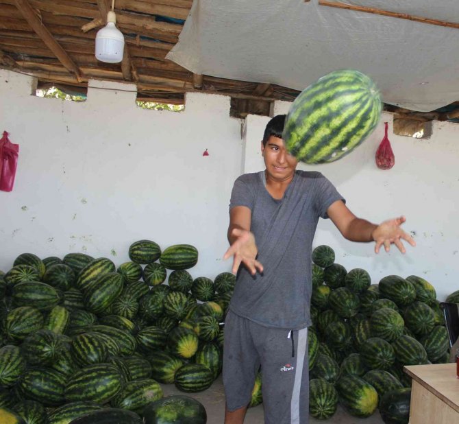 Doğunun Çukurova’sından Çevre İllere Sebze Ve Meyve Satışı