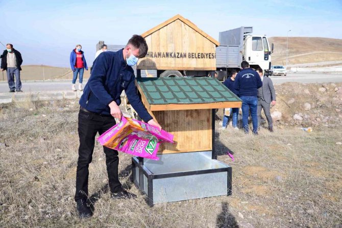 Kahramankazan Belediye Başkanı Oğuz’dan Sokak Hayvanları İçin “Bir Kap Su” Çağrısı
