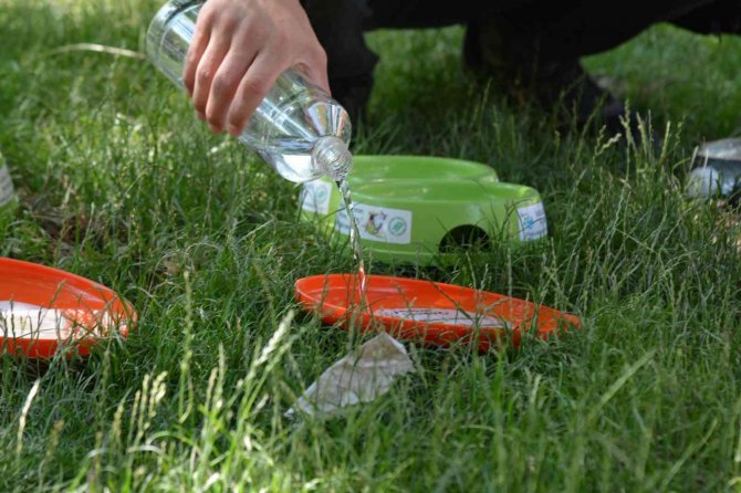 Kahramankazan Belediye Başkanı Oğuz’dan Sokak Hayvanları İçin “Bir Kap Su” Çağrısı