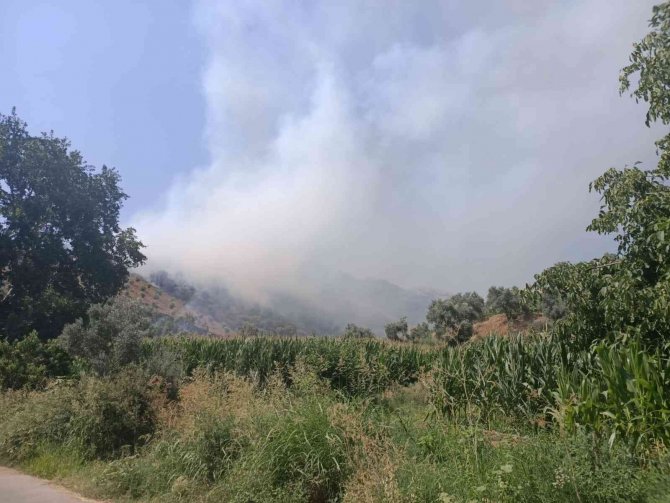 İ̇zmir’de Ormanlık Alanda Yangın Kontrol Altında