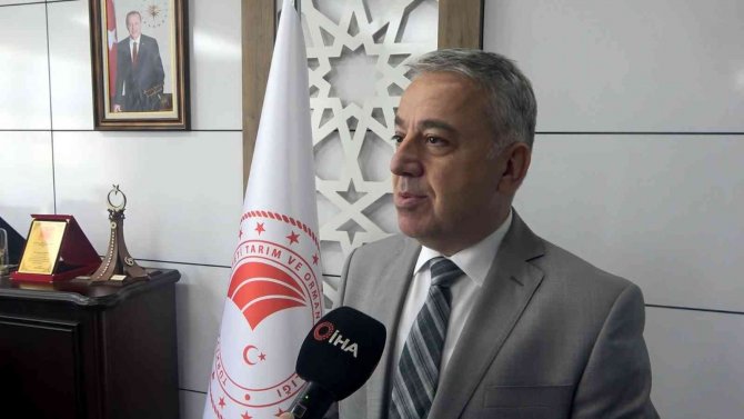 Buğday Hasadı Yüz Güldürdü