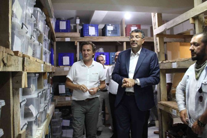 Tavşanlı Höyük, Fotoğraf Sergisi İle Tanıtıldı