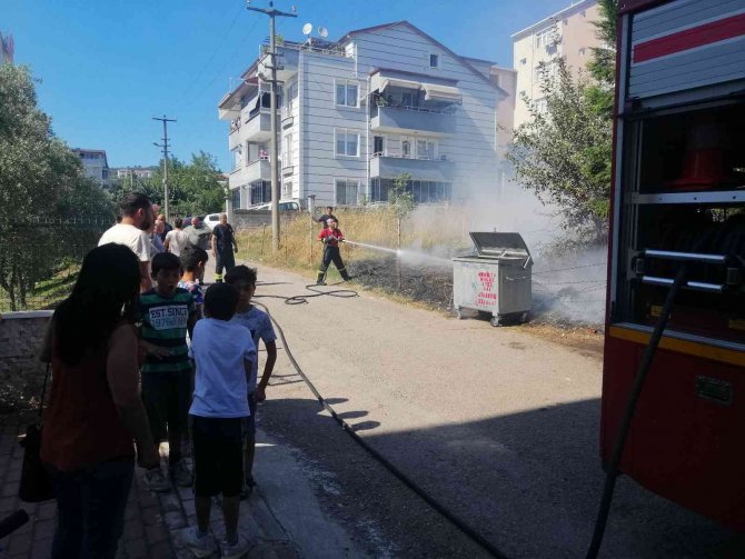 Alevlerin Arasında Kalan Kaplumbağayı İtfaiye Kurtardı