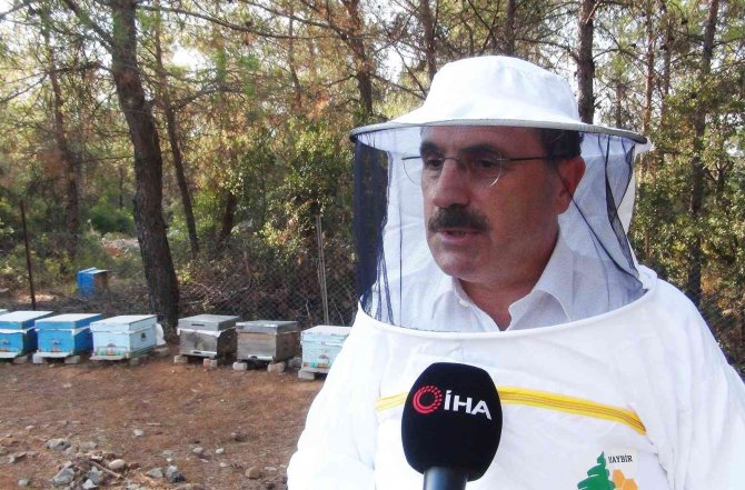 Üniversite Kampüsünde Organik Arıcılık