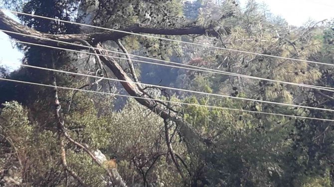Marmaris’te Orman Yangınının Çıkış Sebebi Belli Oldu