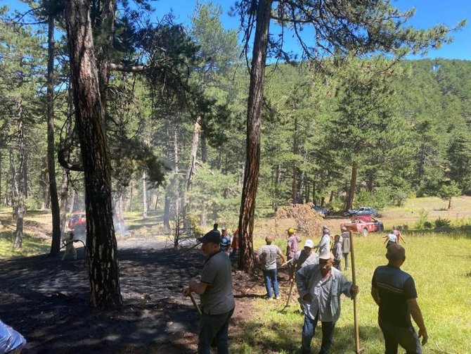 Osmancık’ta Orman Yangını