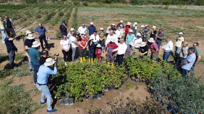 Engelsiz Tarımda Hasat Zamanı