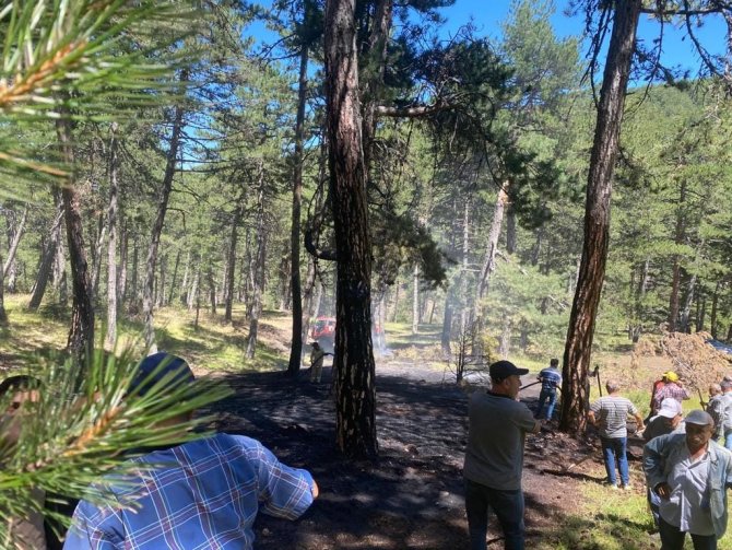 Osmancık’ta Orman Yangını