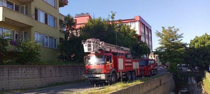 Ocakta Unutulan Düdüklü Tencere Mahalleliyi Korkuttu