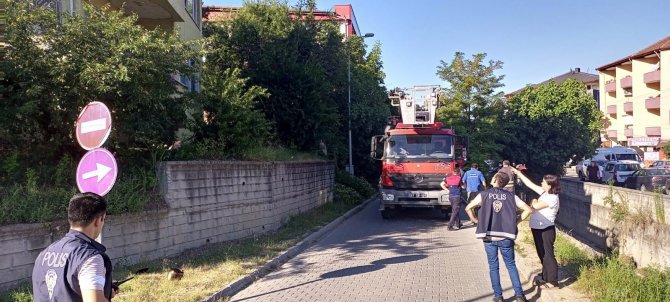 Ocakta Unutulan Düdüklü Tencere Mahalleliyi Korkuttu