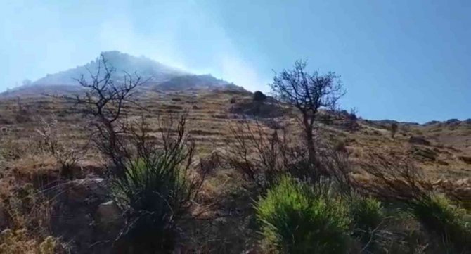 Bodrum’da Otluk Ve Makilik Alanda Yangın Çıktı