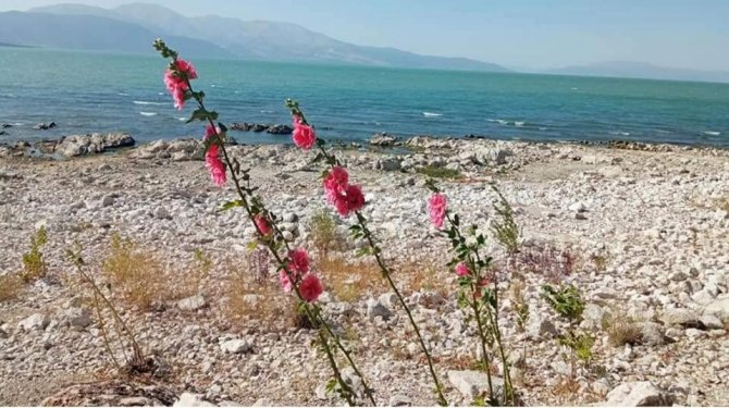 Eğirdir Gölü’nün Su Seviyesi Bir Ayda 20 Santim Düştü