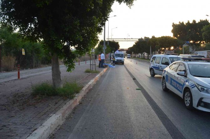 Ağaca Çarpan Motosiklet Sürücüsü Hayatını Kaybetti