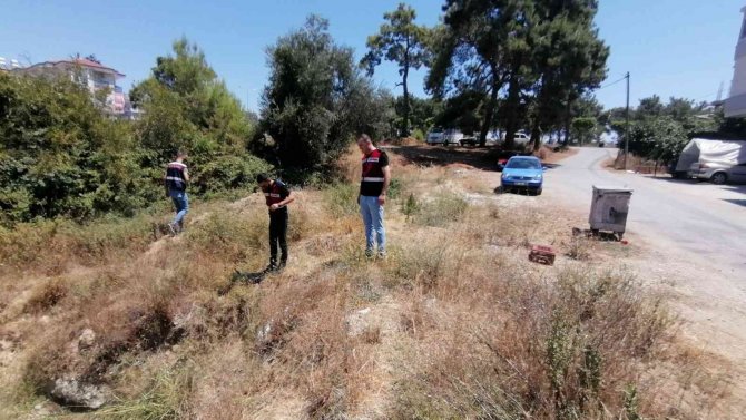Trafik Kazası İzlenimi Verilmek İstenen Cinayeti Jandarma Aydınlattı