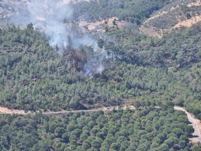 Balıkesir’de Korkutan Orman Yangını