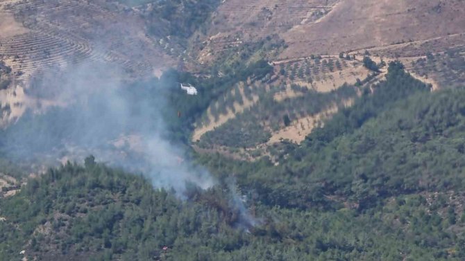 Balıkesir’de Korkutan Orman Yangını