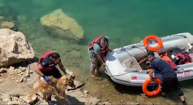 Batman’da Baraj Göletine Düşen Köpek Bot Yardımıyla Kurtarıldı