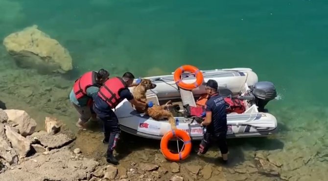 Batman’da Baraj Göletine Düşen Köpek Bot Yardımıyla Kurtarıldı