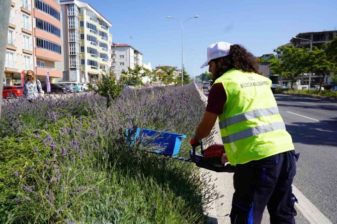 Bilecik’te Lavantadan Sabun Ve Mum Yapılacak