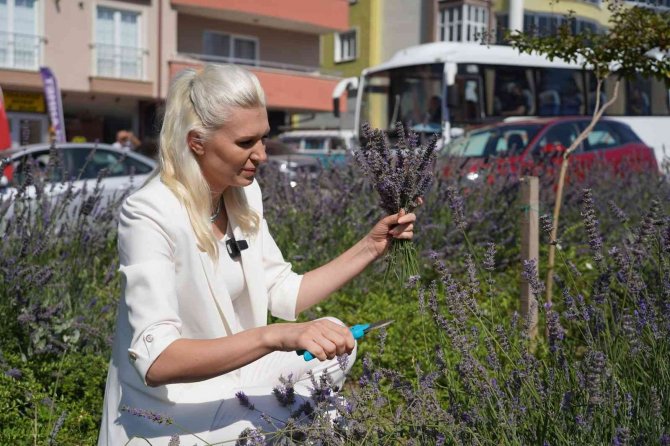 Bilecik’te Lavantadan Sabun Ve Mum Yapılacak