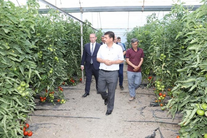 17. Söğüt Domates Kültür Festivali Başladı