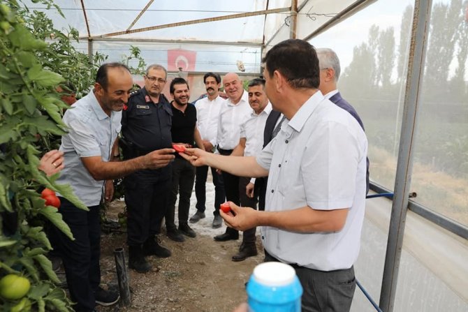 17. Söğüt Domates Kültür Festivali Başladı