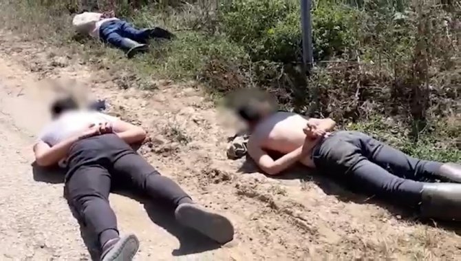 Bursa’da Ormana Uyuşturucu Diktiler, Suç Üstü Yaptılar
