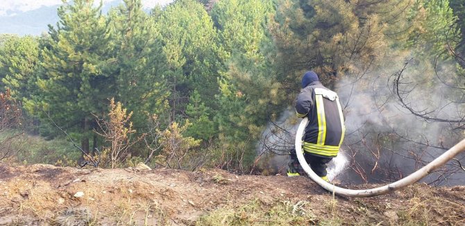 Denizli’de Orman Yangını Büyümeden Söndürüldü