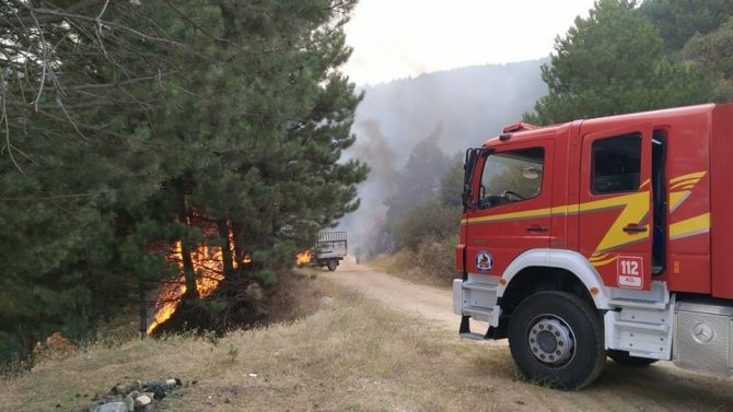 Denizli’de Orman Yangını Büyümeden Söndürüldü