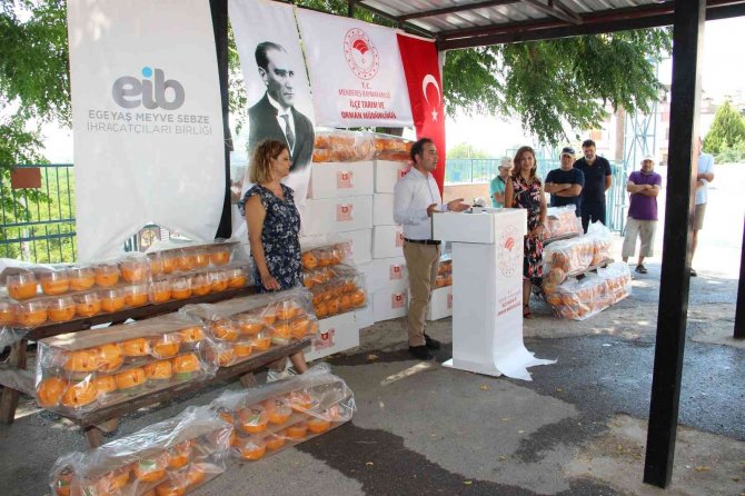 Gümüldür Çiftçisi İyi Tarım Uygulamalarıyla Katma Değer Üretiyor