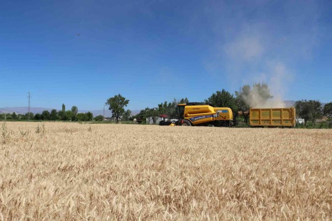 Buğday Rekoltesi Çiftçinin Yüzünü Güldürdü