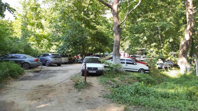 Sarıgöllüler Sıcak Havada Mesire Alanına Akın Etti