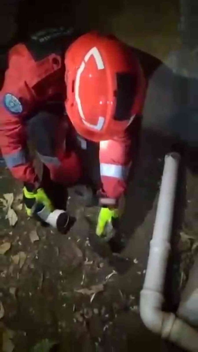 Boruya Sıkışan Kedi Yavrusunu İtfaiye Ekipleri Kurtardı
