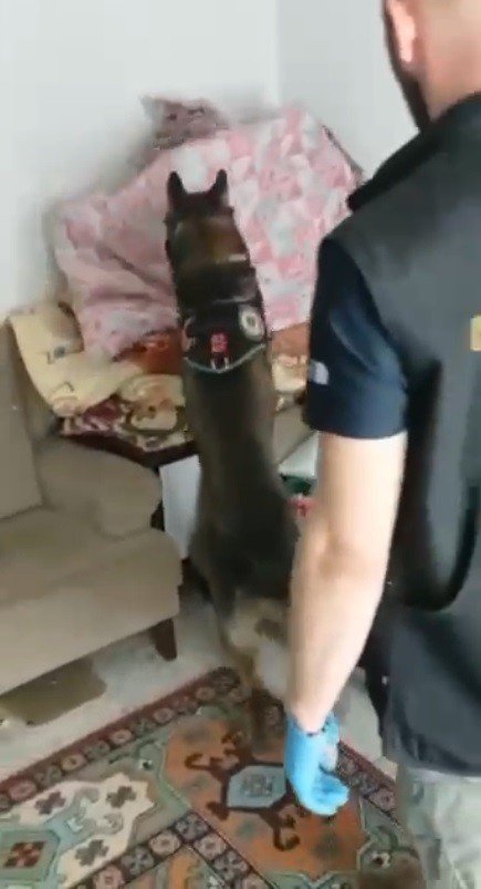 Kars’ta Uyuşturucuyu Narkotik Köpeği Daxo Yakaladı