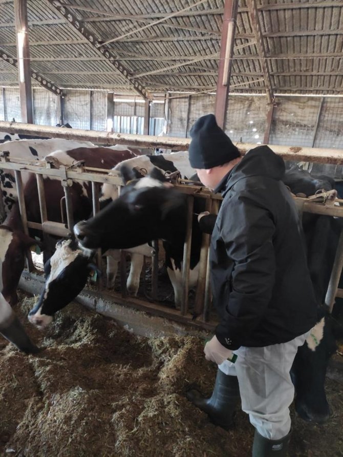 Kırklareli’nde Arilik Çalışmaları Sürüyor