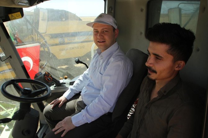 Kaymakam Ve Belediye Başkanı Buğday Hasadı Yaptı