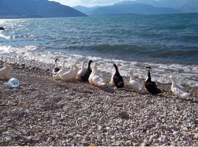 Eğirdir Gölü’nün Su Seviyesi Bir Ayda 20 Santim Düştü