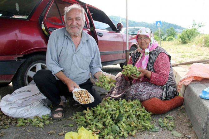 Yeni Sezon Fındığı Yol Kenarlarında Satışa Çıktı