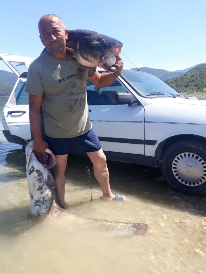 Gölde Yakaladığı Dev Yayın Balığını Sırtında Zor Taşıdı