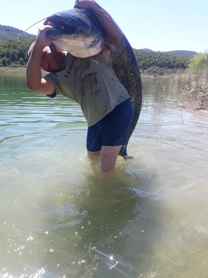 Gölde Yakaladığı Dev Yayın Balığını Sırtında Zor Taşıdı