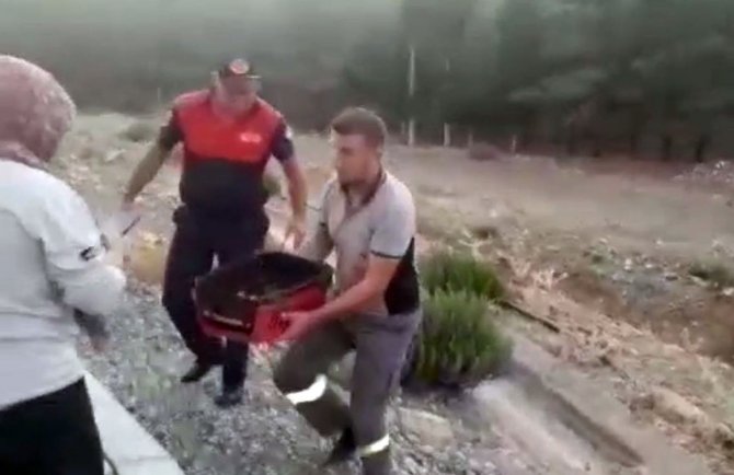 Sulama Kanalında Mahsur Kalan Köpek Ve 6 Yavrusu Kurtarıldı